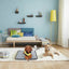Two dogs on a rug in a room 