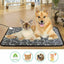 Cat and dog on a heating pad with icons indicating non-toxicity, pet safety, and temperature control.