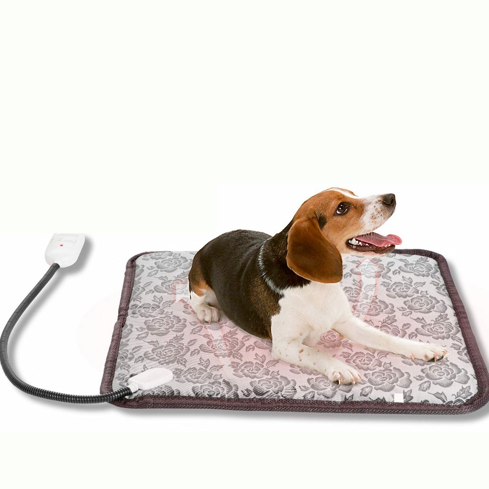 Dog lying on a heated pad with a white background