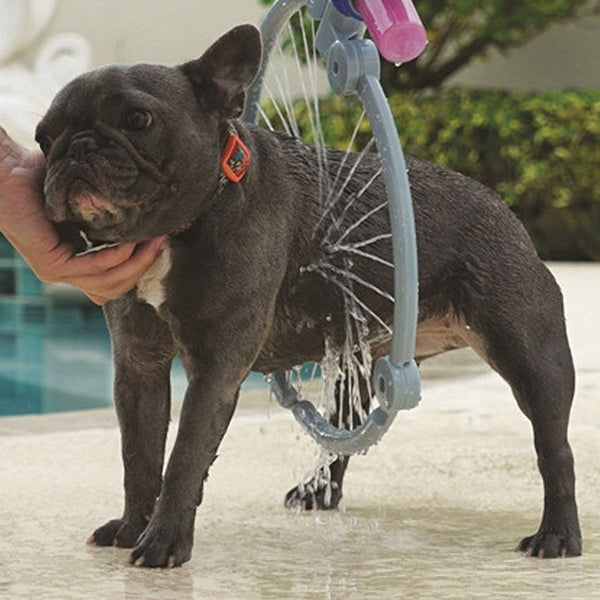 Dog being washed with a bicycle wheel at a poolside