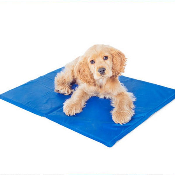 Dog lying on a blue cooling pad with a white background