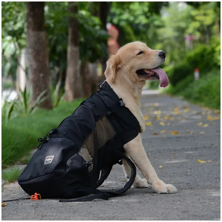 Hiking Pet Breathable Carrier