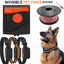 Invisible pet fence system with transmitter, wire spool, collars, and a dog wearing a collar.