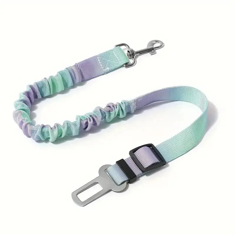 Multicolored dog leash with a metal clip and car seat belt adapter on a white background