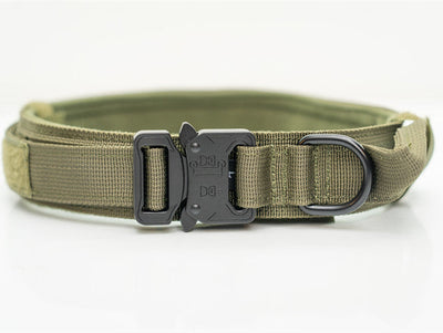 Nylon Pet Collars