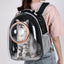 Person carrying a cat in a transparent backpack with a circular entrance.