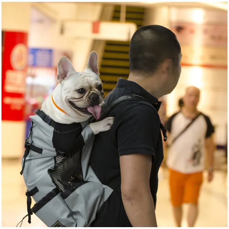 Person carrying a small white dog in a backpack in a mall setting