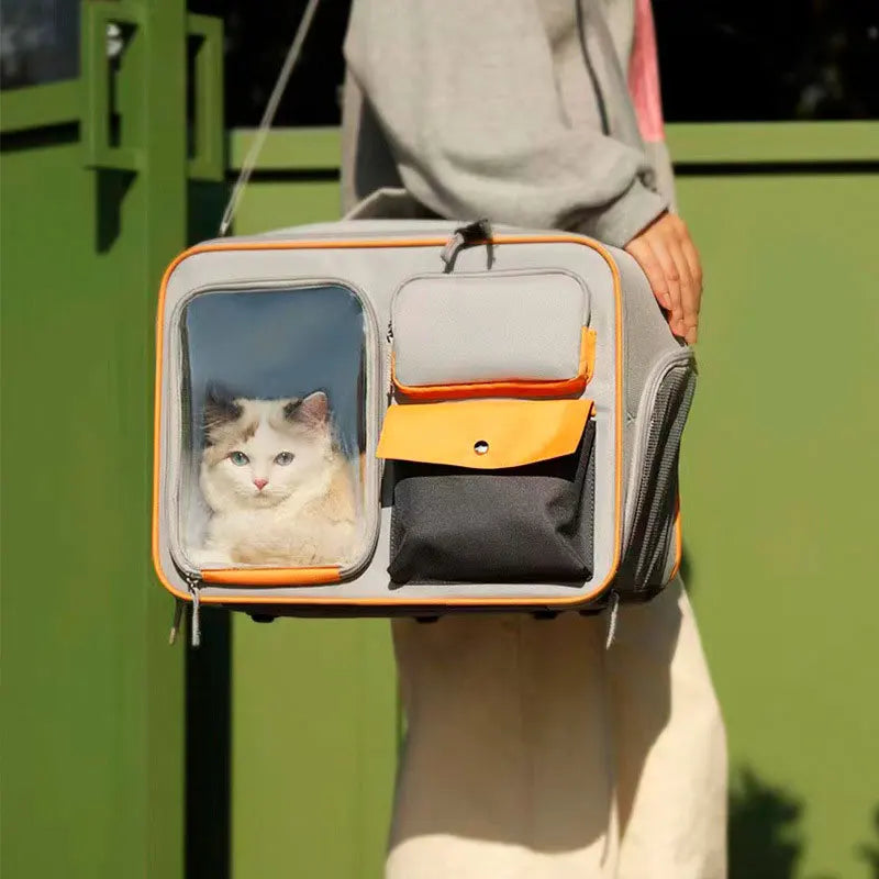 Person holding a pet carrier with a cat peeking out, against a green background