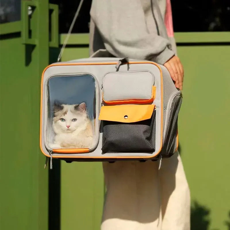 Person holding a pet carrier with a cat peeking out, against a green background