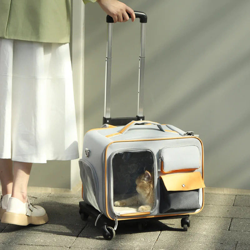 Person pulling a pet carrier with a cat inside on a sidewalk.