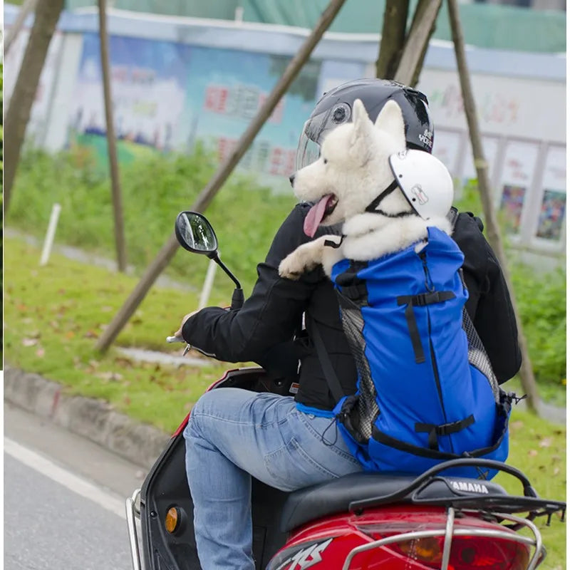 Person riding a motorcycle with a dog in a blue backpack on a road.