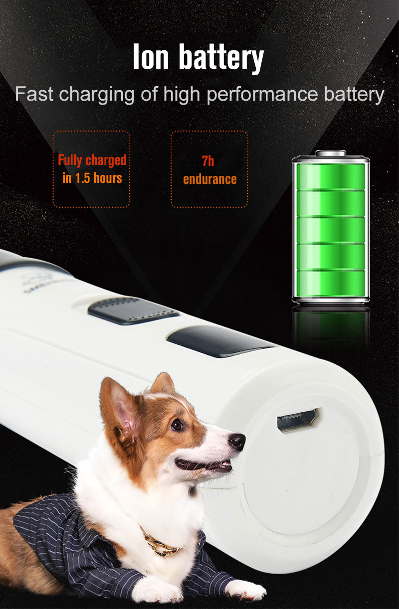 Pet exercise wheel with ion battery charging features and a dog using it.