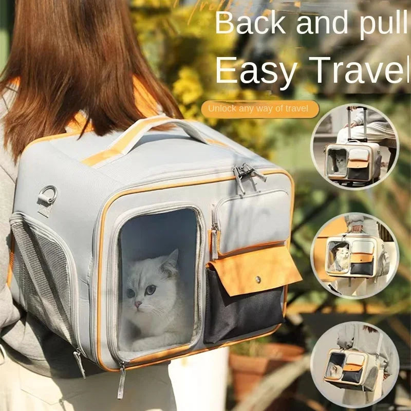Pet carrier backpack with a cat inside, being carried by a person outdoors.