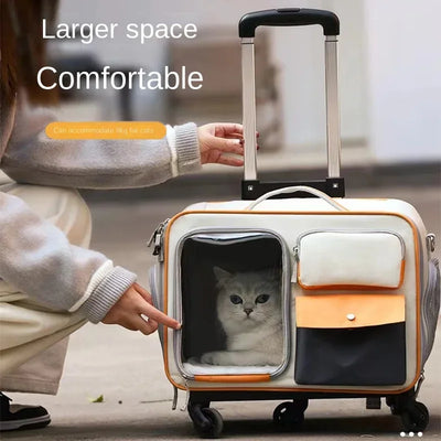 Pet carrier with a cat inside, being held by a person, with text 'Larger space' and 'Comfortable'.