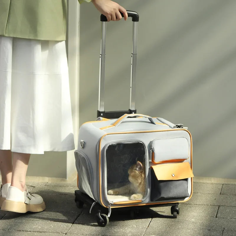 Person pulling a pet carrier with a cat inside on a sidewalk.