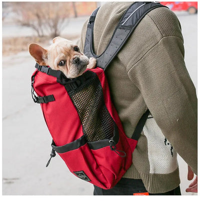 Puppy in a red backpack carrier being carried by a person outdoors.