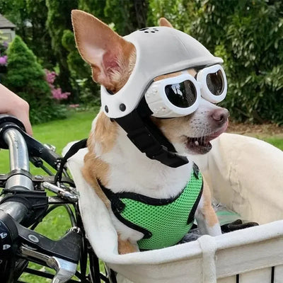 Pet Helmet & UV Sunglasses for Dogs & Cats