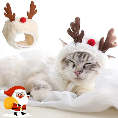 Festive Christmas Pet Costume Set