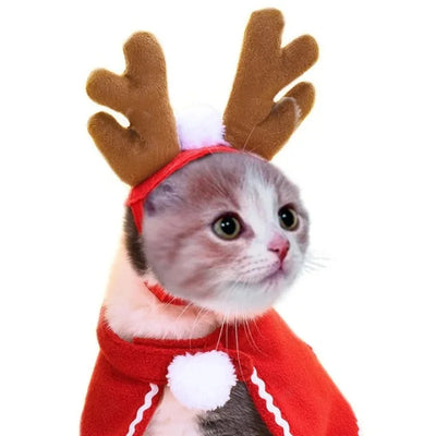 Christmas Pet Hat & Scarf Set