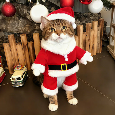 Cute Kitten & Small Dog Santa Costume