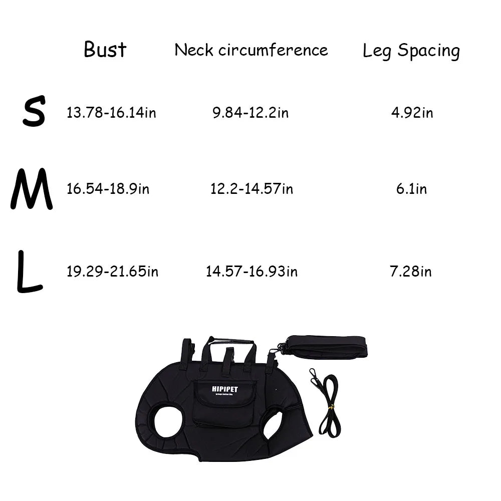 Soft-Sided Pet Carrier Bag