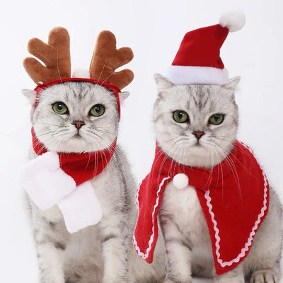 Christmas Pet Hat & Scarf Set