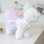 Cute Tulle Puppy Dress for Small Dogs