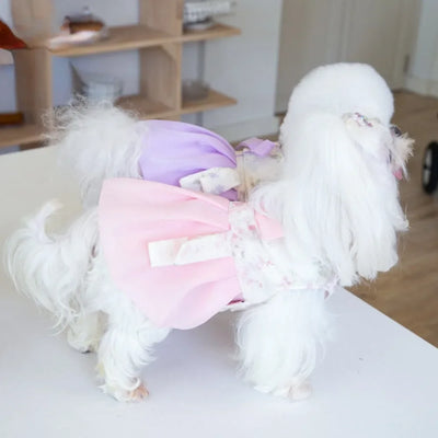 Cute Tulle Puppy Dress for Small Dogs
