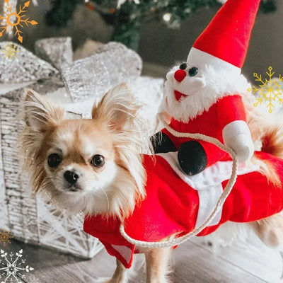 Hilarious Riding Santa Pet Costume
