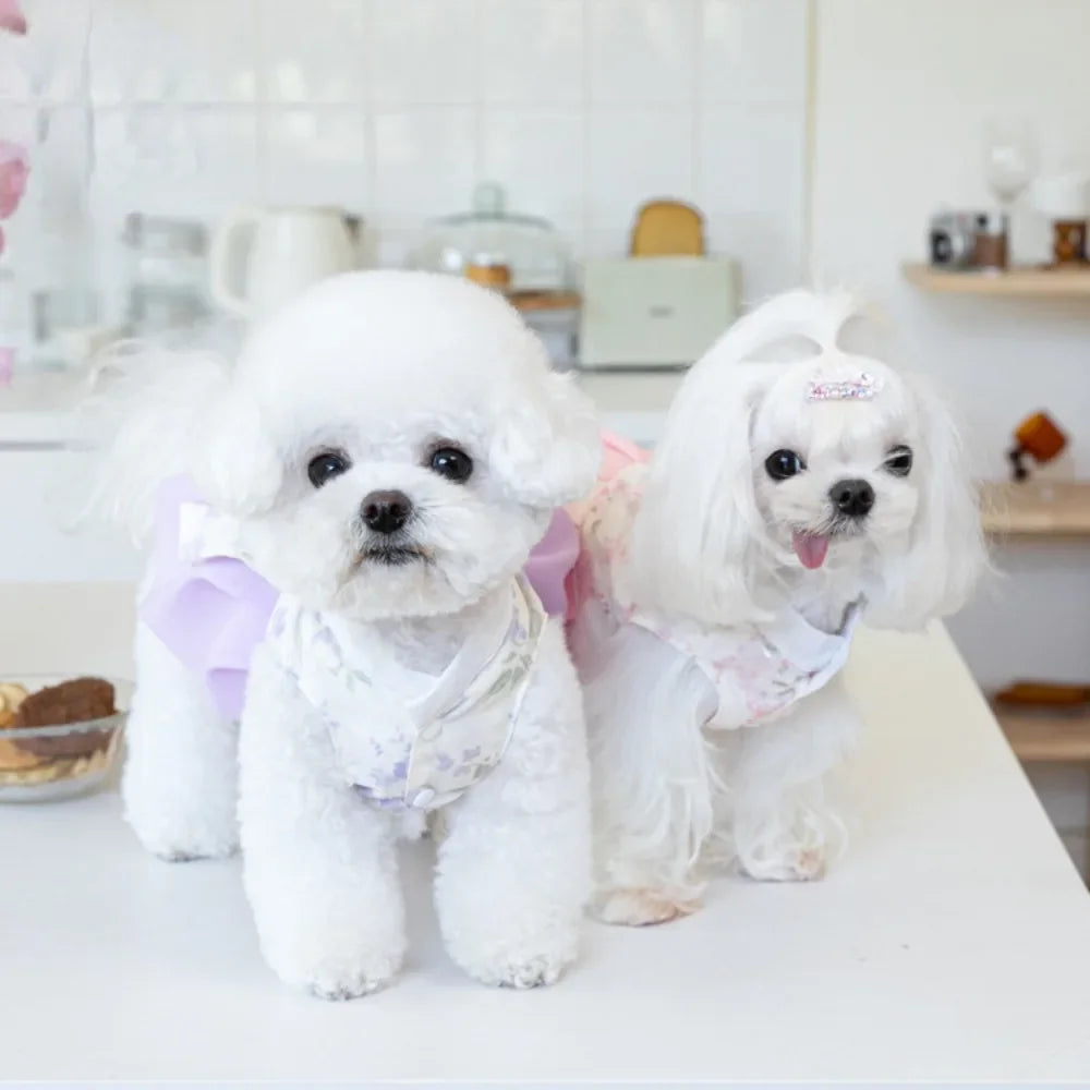 Cute Tulle Puppy Dress for Small Dogs