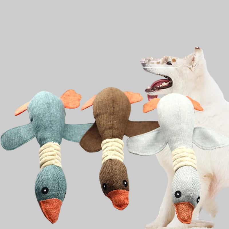 Squeak Dog Toy 