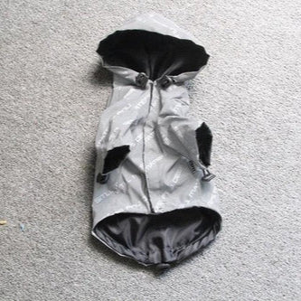 Owner walking their happy dog wearing a Pet Shield weatherproof raincoat, keeping them stylish and dry.
