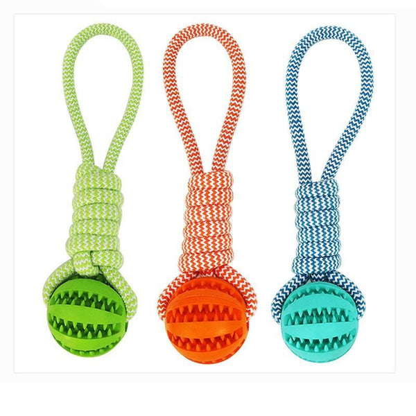 Three colorful dog toys with balls and handles