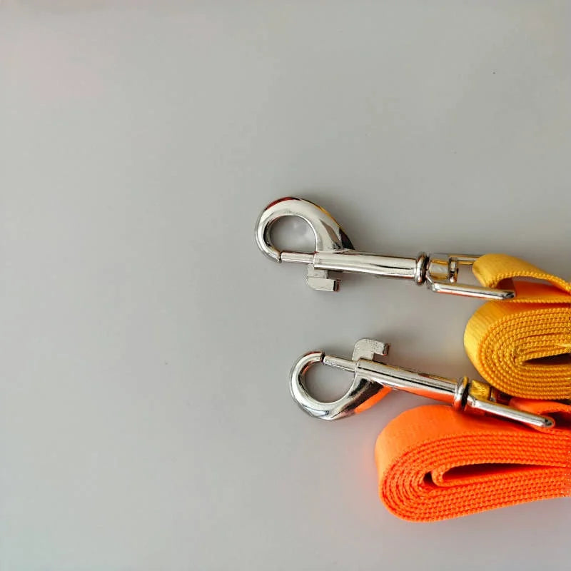 Two dog leashes with metal clips on a light gray background