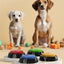 Two dogs sitting next to colorful buttons on a beige background