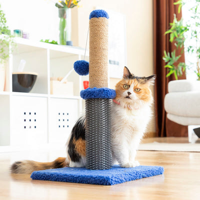 Cat playing with a scratching post in a home setting