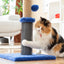 Cat playing with a scratching post in a living room