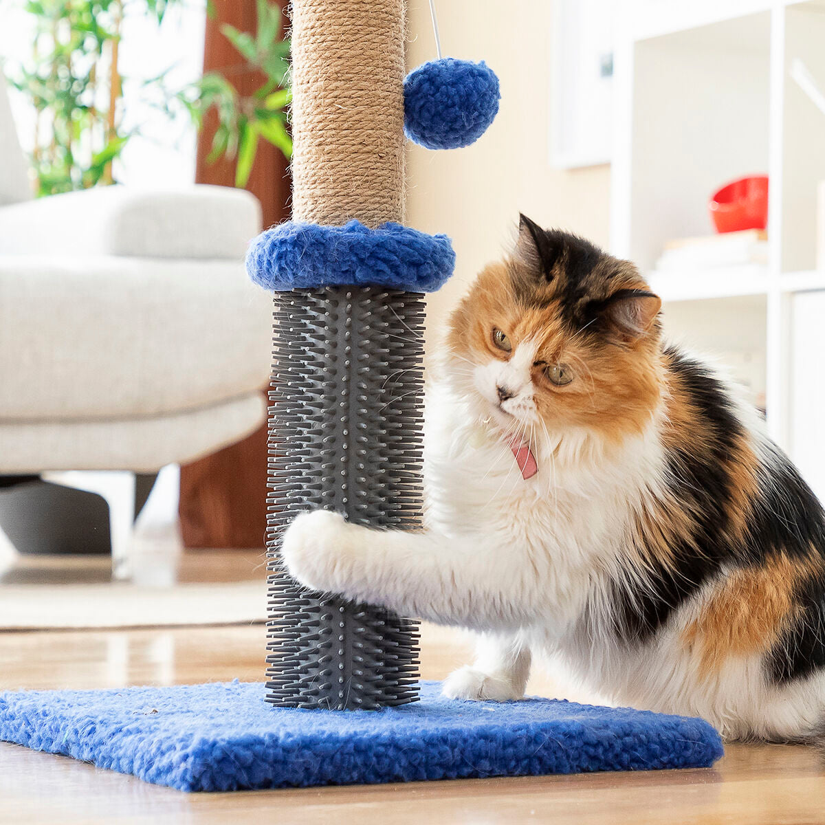 Cat playing with a scratching post in a living room