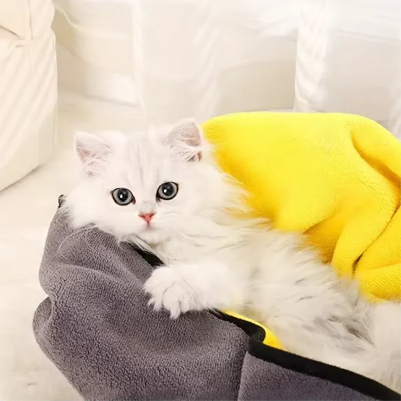 White kitten in a gray and yellow pet carrier on a white couch