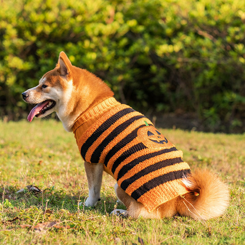 Halloween Pet Sweaters