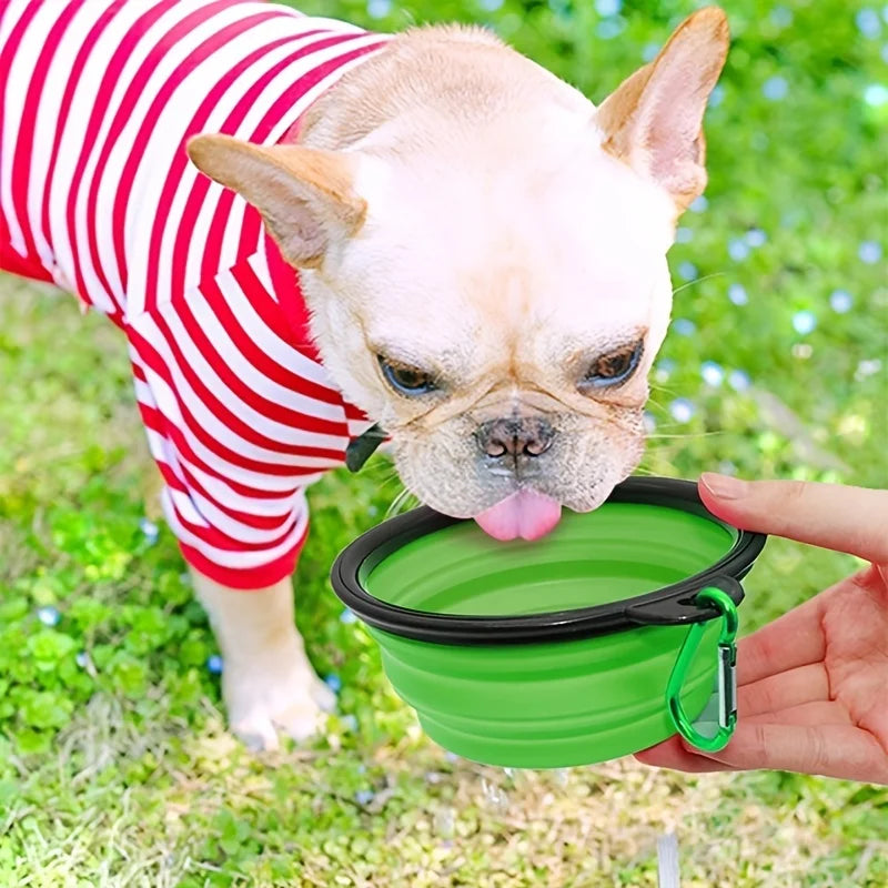 Dog drinking from a green collapsible water bowl held by a person outdoors.