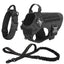Dog Collar Military Dog Harness And Leash Set