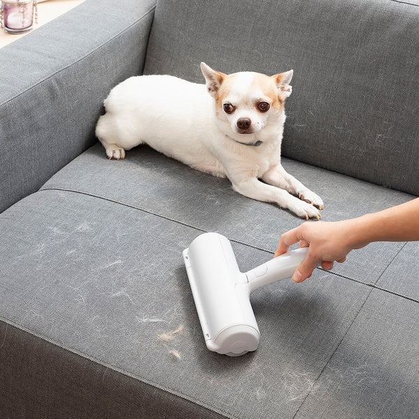 Person using a pet hair removal roller on a gray couch with a dog sitting nearby.
