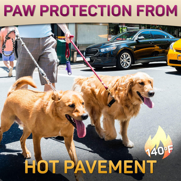Two dogs on leashes with text about paw protection from hot pavement.